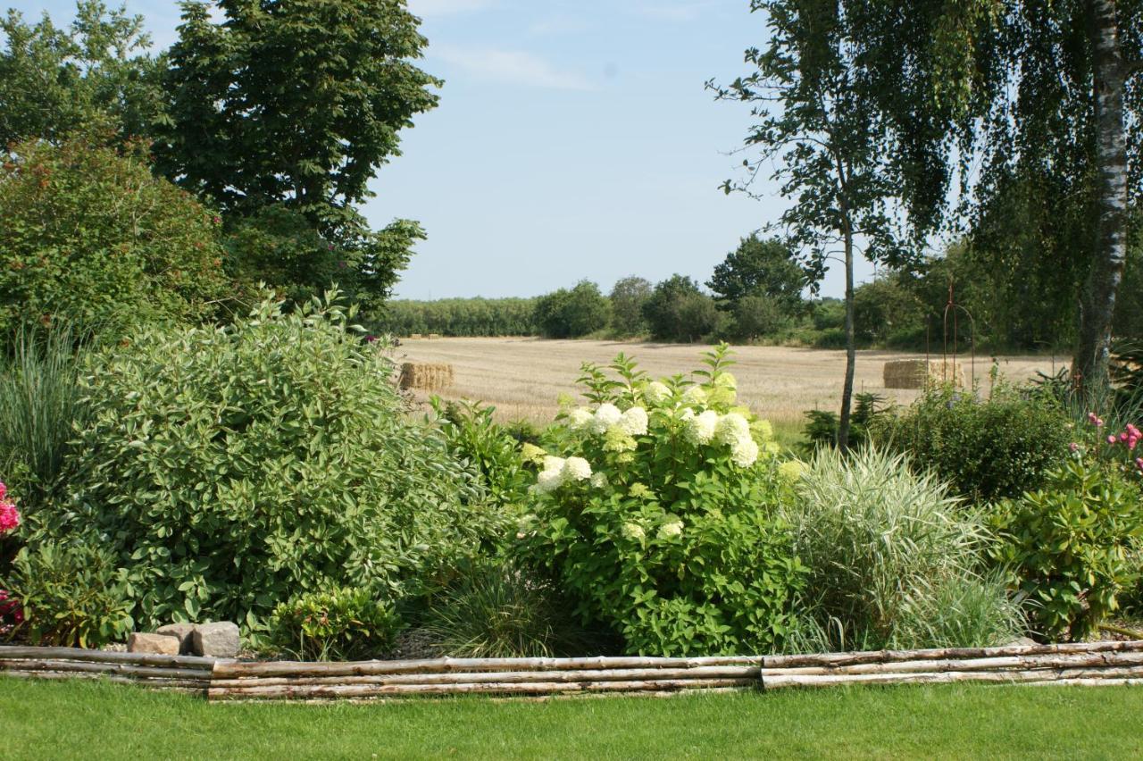 Lustrup Farmhouse Рібе Екстер'єр фото